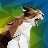 Meng Wang's avatar
